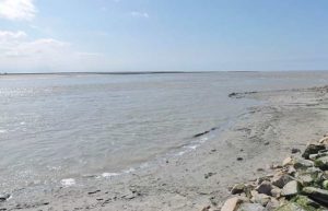 Baie du Mont-Saint-Michel