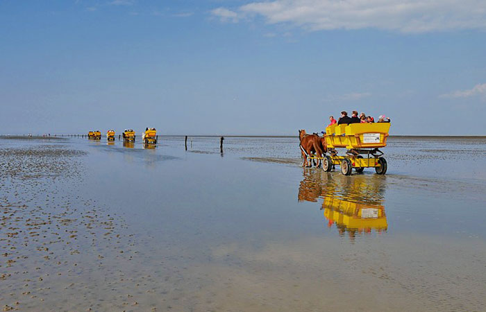 Nationalpark Niedersächsisches Wattenmeer
