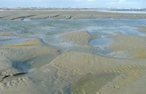 Priel im Nationalpark Niedersächsisches Wattenmeer