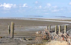 Das Wattenmeer in den Niederlanden