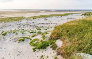 Der Nordweststrand der Insel Scharhörn
