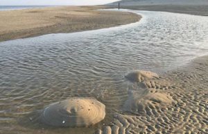 Strand auf Texel