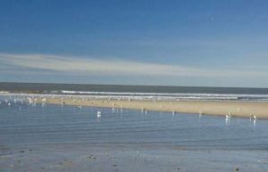 Der Strand auf der Insel Texel