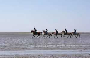 Reiten im Wattenmeer