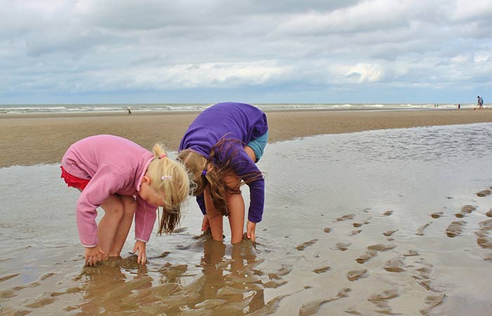 Nationalpark Hamburgisches Wattenmeer